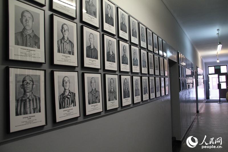 图为奥斯维辛集中营内陈列的在此遇难的囚犯的照片。记者 李增伟 摄