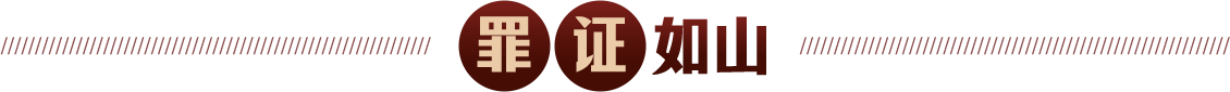 罪证如山
