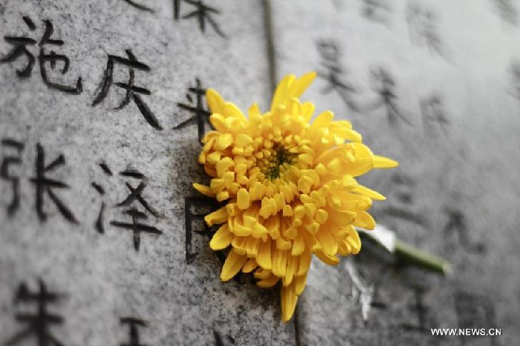 A flower is presented to mourn the Nanjing Massacre victims at the Memorial Hall of the Victims in Nanjing Massacre by Japanese Invaders in Nanjing, capital of east China's Jiangsu Province, April 5, 2014, on the occasion of the Qingming Festival, or the Tomb-Sweeping Day. 