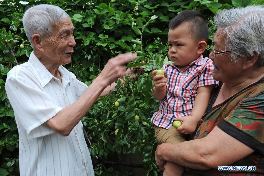 Wang Mingcai and his wife He Xiujuan play with their great grandson Ji Tingxuan at home in Yiwu, east China's Zhejiang Province, July 26, 2015. 