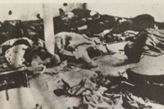 山东公布8个在鲁“日军侵华惨案遗址档案”