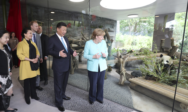 Xi, Merkel launch Panda garden in Berlin zoo