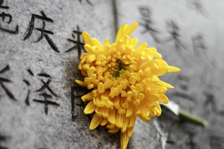 Fête de Qingming : les gens rendent hommage au Mémorial du massacre de Nanjing