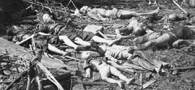 Around 2.2 mln Chinese children killed, injured by Japanese invaders