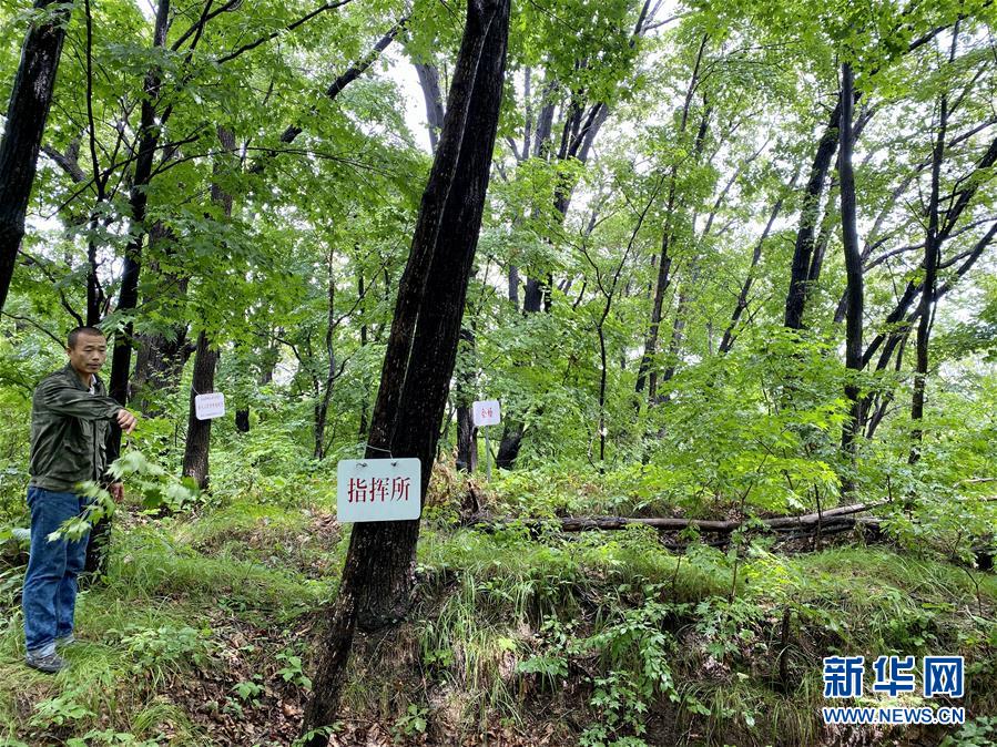 探访“深山密林”中的鸡冠山东北抗联密营群